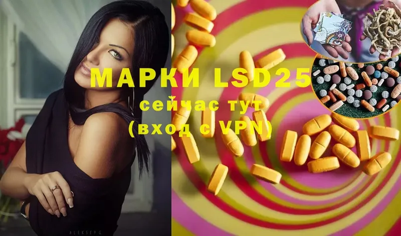 где продают наркотики  Болотное  ЛСД экстази ecstasy 