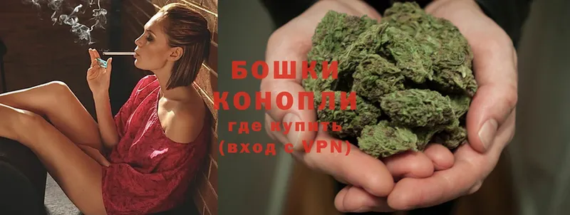 Каннабис SATIVA & INDICA  где купить наркоту  Болотное 